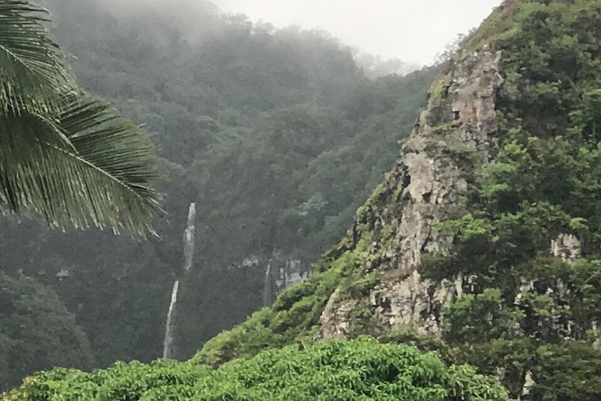Oahu Ultimate Circle Island: 30 Spots, 10 Epic Stops - Macadamia nuts at Tropical Farms