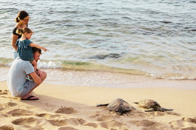 Oahu Ultimate Circle Island: 30 Spots, 10 Epic Stops - Halona Blowhole and the windward coast