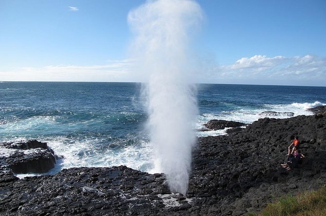 Oahu Ultimate Circle Island Tour Full Day Experience - Macadamia nuts, coffee, and the road to Kahuku