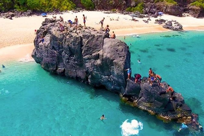 Oahu Ultimate Circle Island Tour Full Day Experience - The one-hour turtle and swimming stop