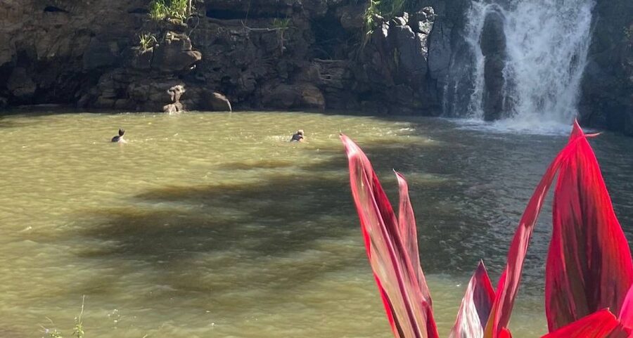 Oahu: Valley of Waimea Falls Swim & Hike with Lunch & Dole - Is the $134 price worth it?