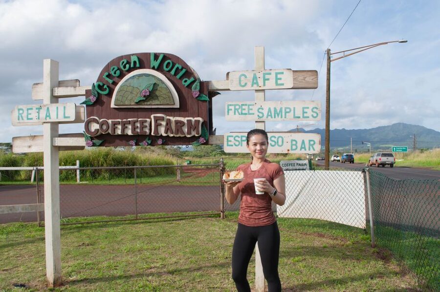 Oahu: Valley of Waimea Falls Swim & Hike with Lunch & Dole - The walk to Waimea Falls