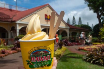Valley of Waimea Falls Swim & Hike with Lunch & Dole