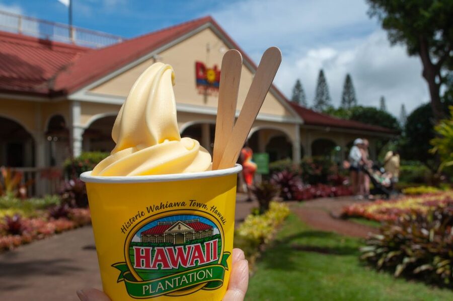 Oahu: Valley of Waimea Falls Swim & Hike with Lunch & Dole - Starting with coffee at Greenworld Farm