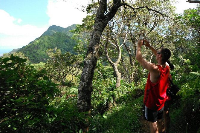 Oahu Volcanic Rainforest Hiking Adventure - Key points to know before you book