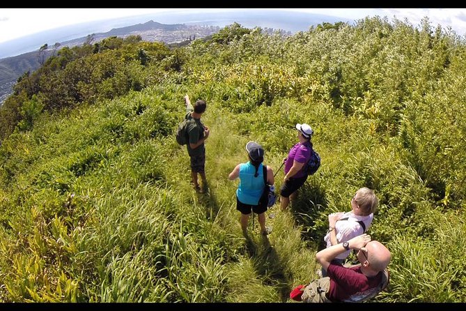 Oahu Volcanic Rainforest Hiking Adventure - Walking through 75 acres of tropical forest