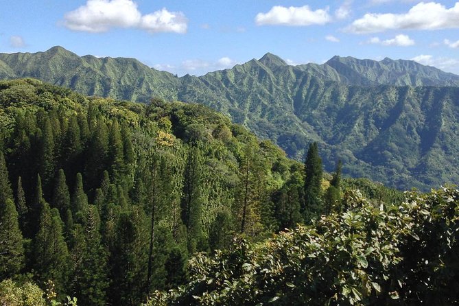 Oahu Volcanic Rainforest Hiking Adventure - Reaching the waterfall at the end