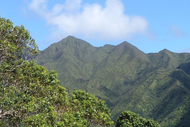 Oahu Volcanic Rainforest Hiking Adventure - Ancient rock walls and Hawaiian cultural context