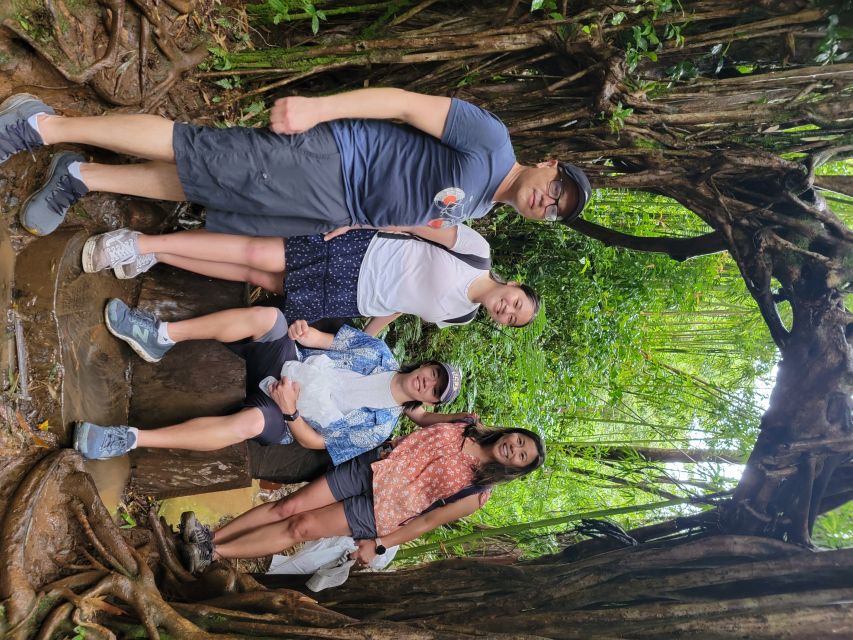 Oahu: Waikiki E-Bike Ride and Manoa Falls Hike - The route gives you more than a waterfall