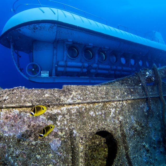 Oahu: Waikiki Submarine Tour - Why the 64-passenger submarine matters
