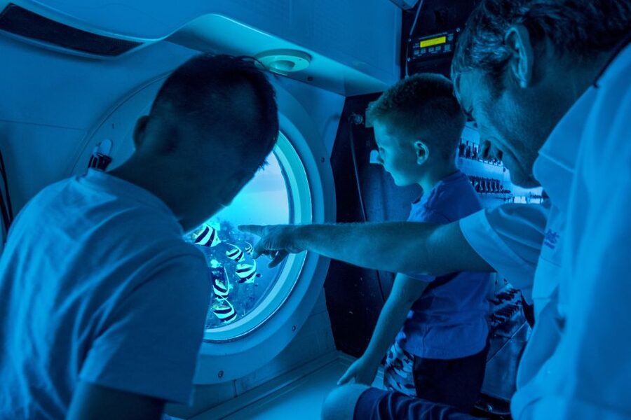 Oahu: Waikiki Submarine Tour - Check-in at Hilton Pier and the first boat ride