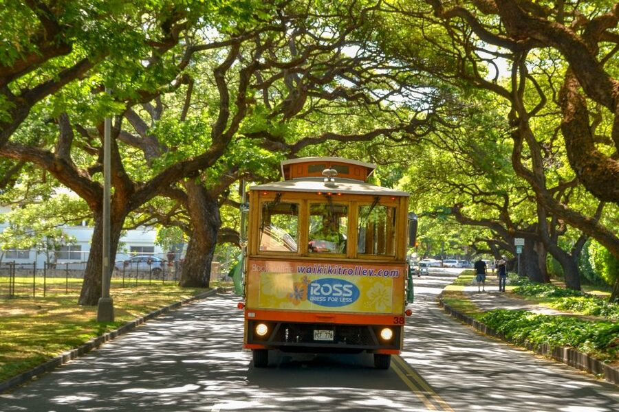Oahu: Waikiki Trolley Hop-on Hop-off All-Line Pass - How the price compares with other ways around Waikiki