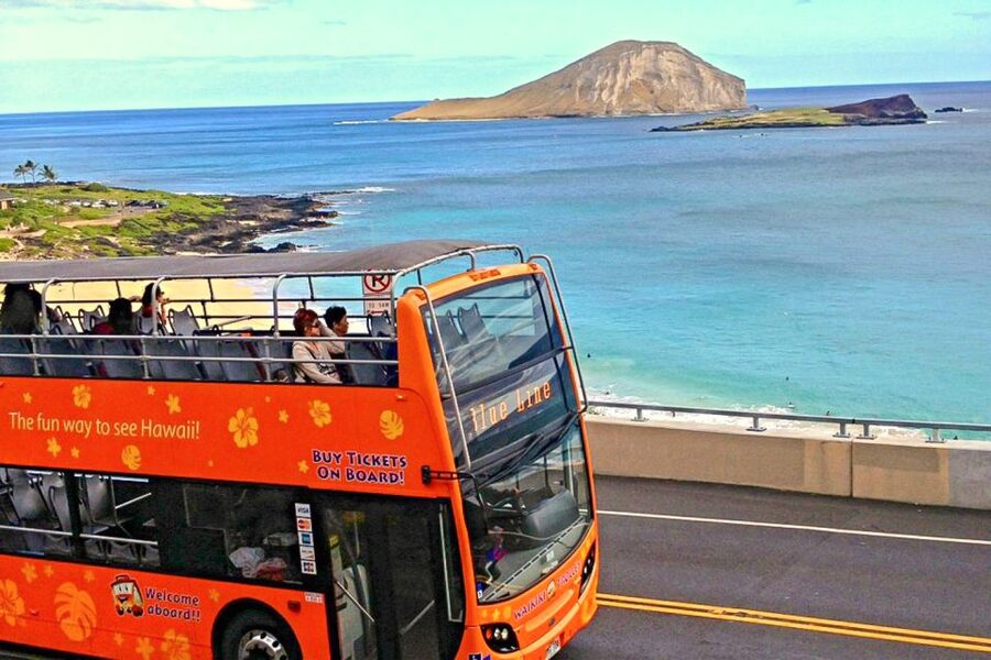 Oahu: Waikiki Trolley Hop-on Hop-off All-Line Pass - Who should choose the All-Line Pass