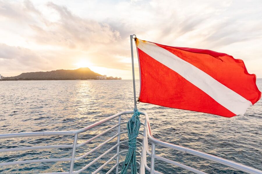 Oahu: Waikiki Turtle Canyons Cruise and Snorkel Excursion - Quick takeaways from Turtle Canyons