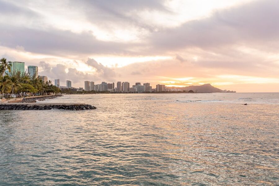 Oahu: Waikiki Turtle Canyons Cruise and Snorkel Excursion - Is $89 a fair price?