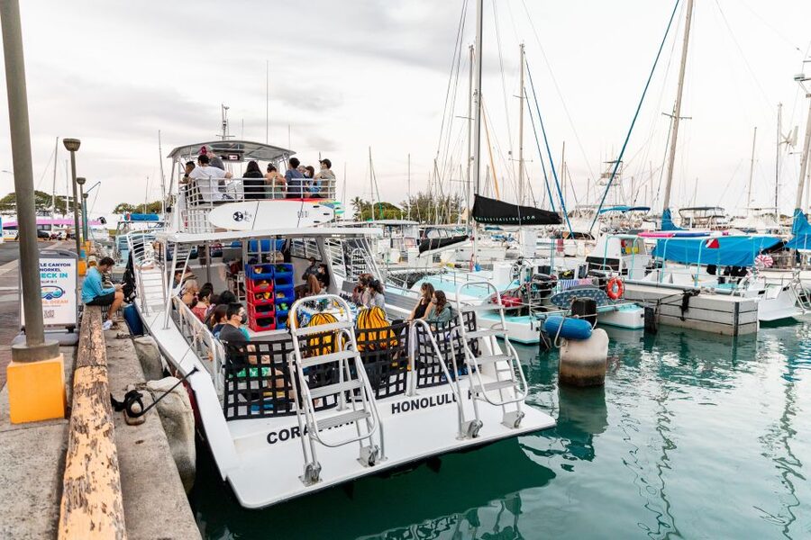 Oahu: Waikiki Turtle Canyons Cruise and Snorkel Excursion - Who should book this Waikiki snorkeling trip?