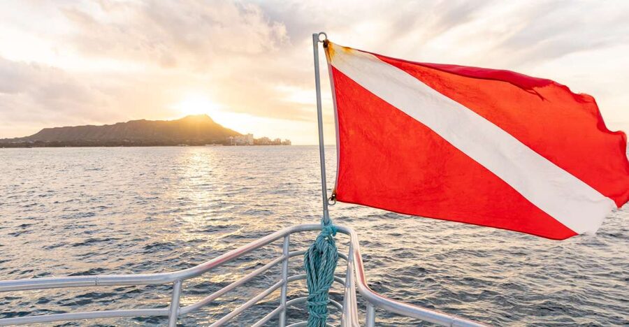 Oahu: Waikiki Turtle Canyons Cruise and Snorkel Excursion - What the Turtle Canyons stop is really like
