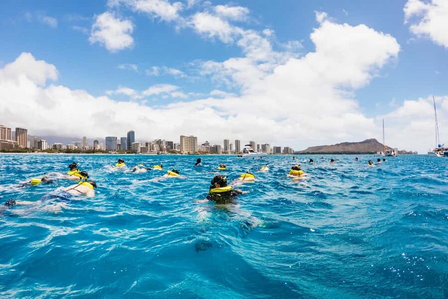 Oahu: Waikiki Turtle Snorkel Sail - Drinks, snacks, and the ride home