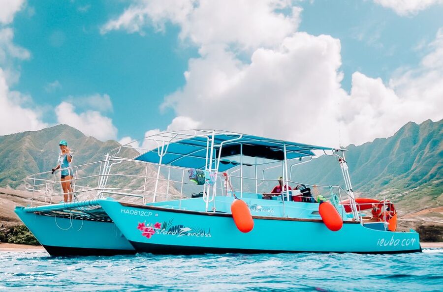 Oahu: Waikiki Turtle Snorkeling Adventure - Beyond Turtles: Dolphins and Seasonal Whales