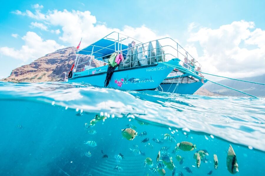 Oahu: Waikiki Turtle Snorkeling Adventure - Who Will Like This Excursion Most