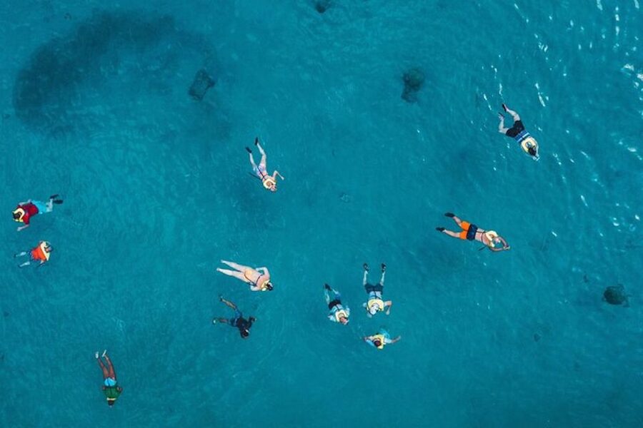 Oahu: Waikiki Turtle Snorkeling Adventure Cruise - Snorkeling above coral, fish, and turtle habitat