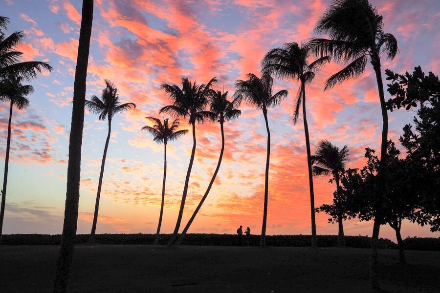 Oahu: West Oahu Sunset Cruise with Cocktails and Appetizers - Key points to know before you book