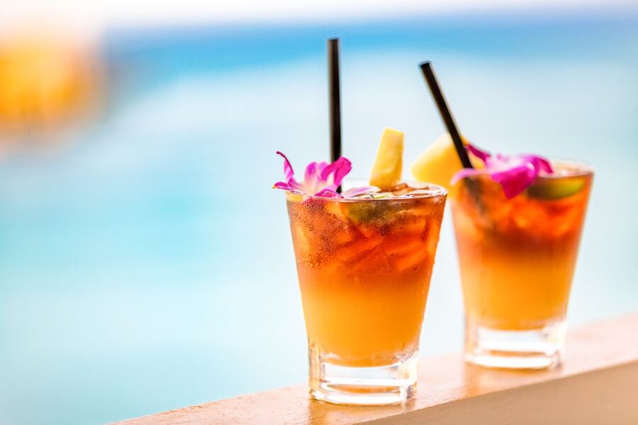 Oahu: West Oahu Sunset Cruise with Cocktails and Appetizers - Is $89 a fair price?