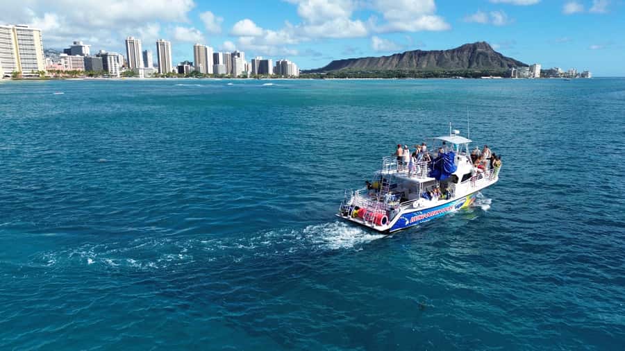 Oahu: Whale Watching Cruise Whales Guaranteed - Key points to know before you book