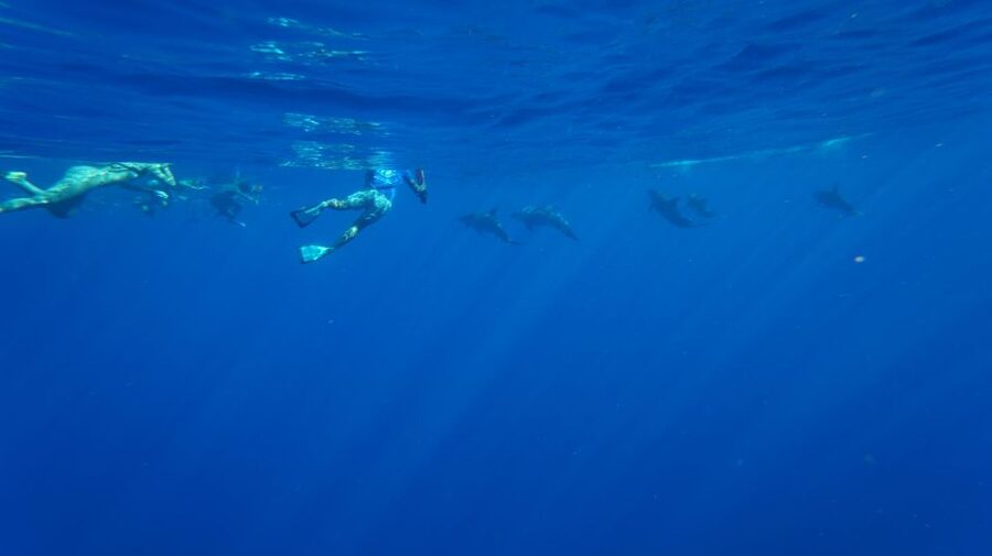 Oahu: Wild Dolphins Swim Turtle Snorkel Tour & Waterslide - The Oli prayer and the sense of place