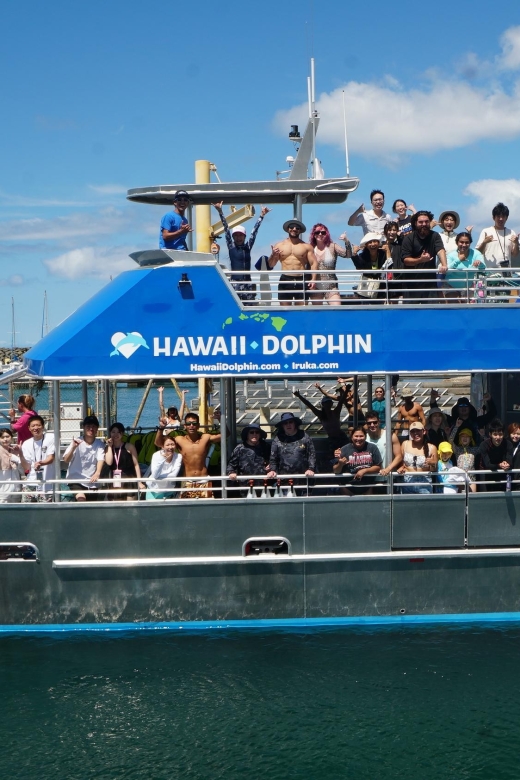Oahu: Wild Dolphins Swim Turtle Snorkel Tour & Waterslide - Who should book this boat trip?