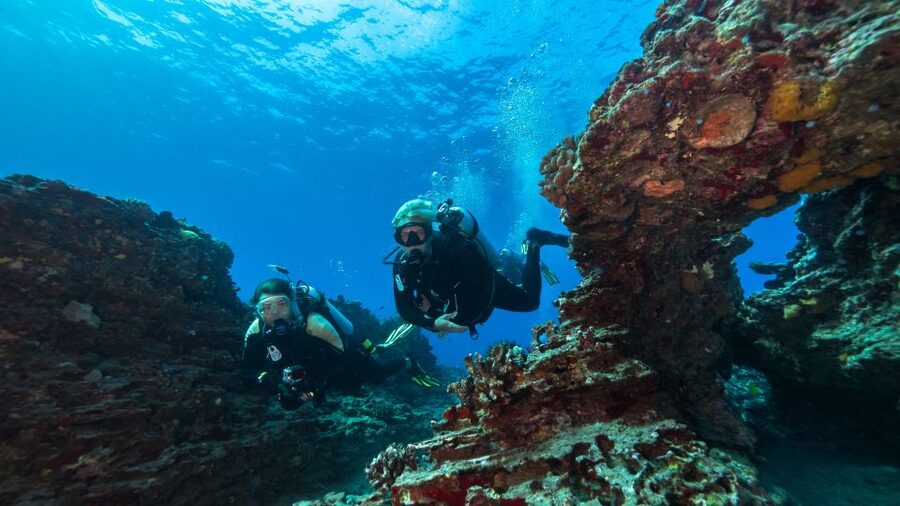 Oahu: Wreck & Reef Scuba Dive for Certified Divers - Key points for your Oahu scuba day