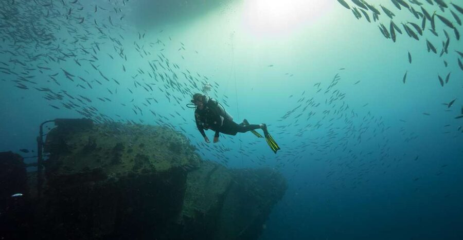 Oahu: Wreck & Reef Scuba Dive for Certified Divers - Why these Oahu wrecks are worth your time