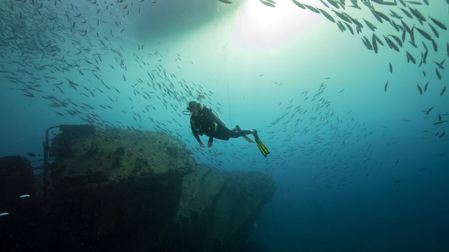 Oahu: Wreck & Reef Scuba Dive for Certified Divers - Practical advice before you board