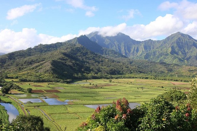 One-Day Tour Hawaii Movie Tour: Island Hopping from Oahu to Kauai - Why a movie tour is a smart way to see Kauai in one day