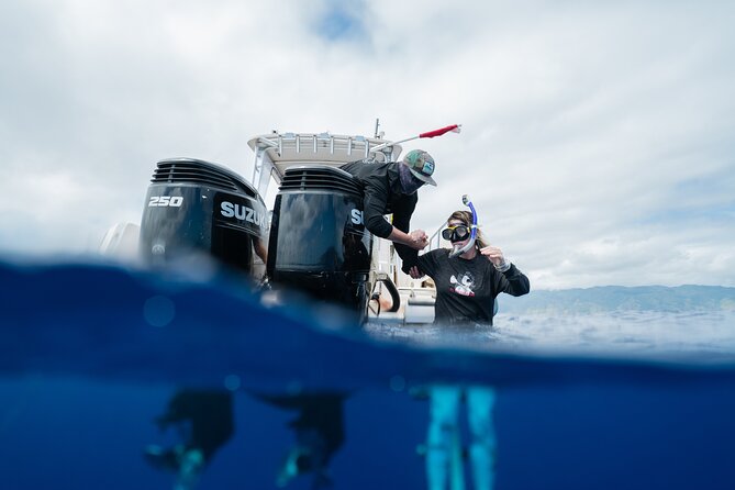 Open Water Shark Dive - The crew’s approach to fear and conservation