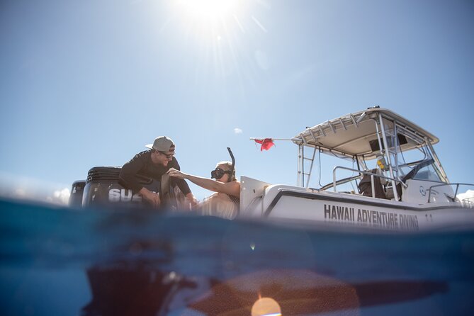 Open Water Shark Dive - Photos and videos from the water