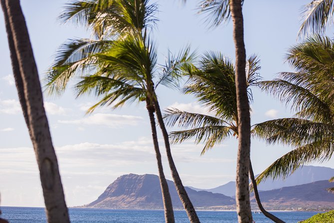 Paradise Cove Luau - Comparing the Standard, Orchid, and Premium packages
