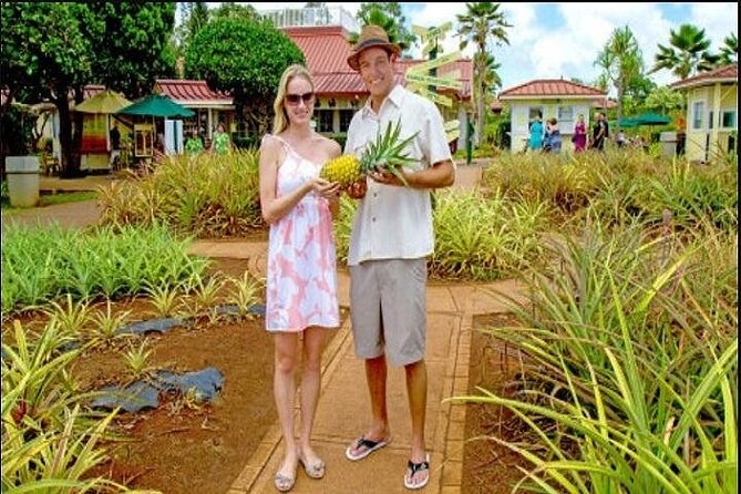 Pearl Harbor, Dole Plantation, and Polynesian Center from Maui - Kualoa Regional Park ends the route on a quiet note