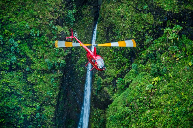 Private 45 Minute Helicopter Tour with Romantic Landing - The Lion, the maze, and Pearl Harbor