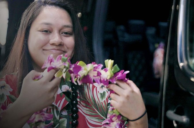 Private Arrival Transfer: Honolulu International Airport to Oahu Hotels or Cruise Terminal - How this compares with arranging your own ride