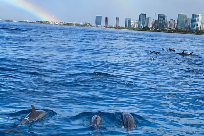 Private Catamaran Cruise and Snorkeling Tour in Honolulu - Who will enjoy this charter most