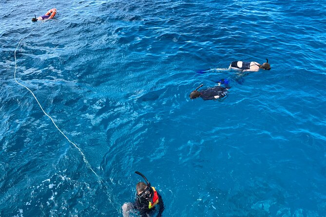 Private Catamaran Cruise and Snorkeling Tour in Honolulu - Practical details that affect your day