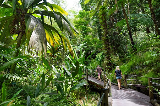 Private Circle Island Off-the-Beaten- Oahu Tour - What personalized really means here