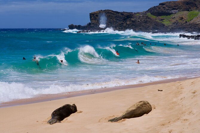 Private Circle Island Tour-Oahu-Customizable - What the $189 price buys you