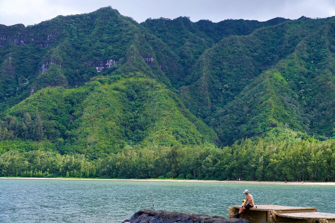Private Circle Island Tour-Oahu-Customizable - Waimea Valley, Manoa Falls, and other custom choices