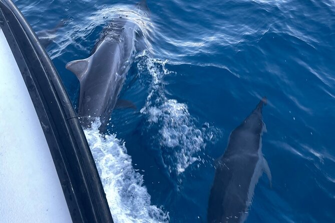 Private Fishing Charter for Family and Friends in Honolulu - Is $265 per person a fair price?