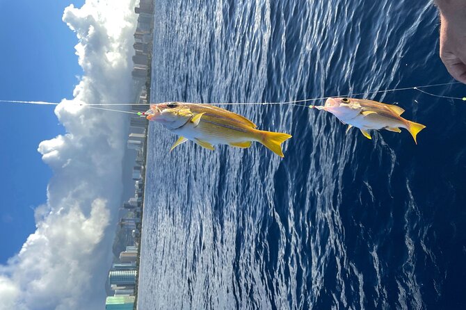 Private Fishing Charter for Family and Friends in Honolulu - Timing, meeting point, and cancellation details