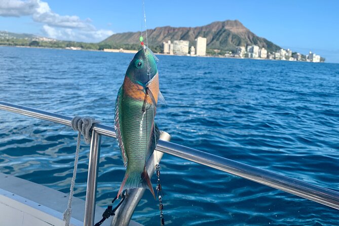 Private Fishing Charter for Family and Friends in Honolulu - Diamond Head, Waikiki, and the view from the water