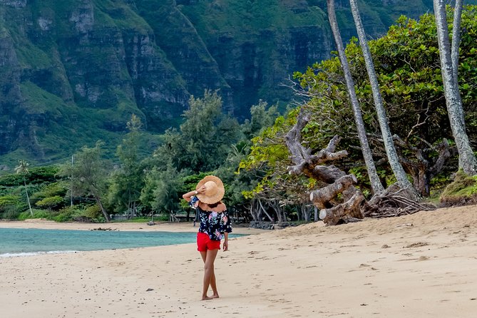 Private North Shore of Oahu Tour - Haleiwa brings the North Shore down to street level