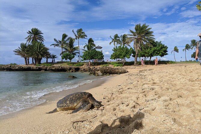 Private Oahu Circle Island Tour - How the Private Format Affects Value